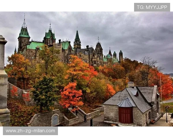 加拿大被放入预测难度前列，探讨其背后的深层原因