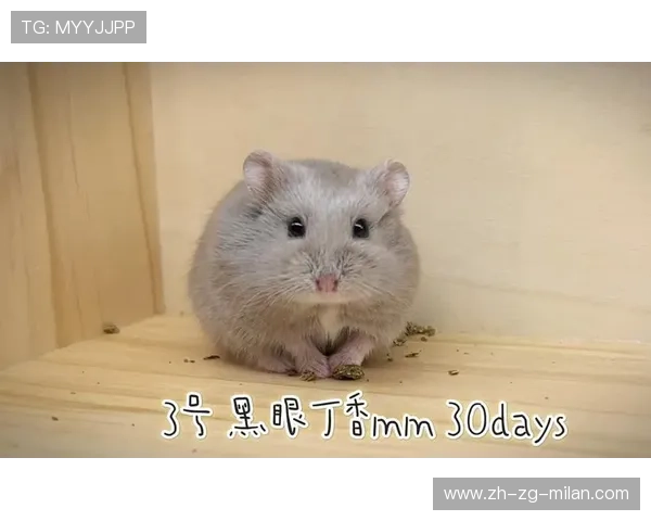 坎贝尔步伐灵巧如猫